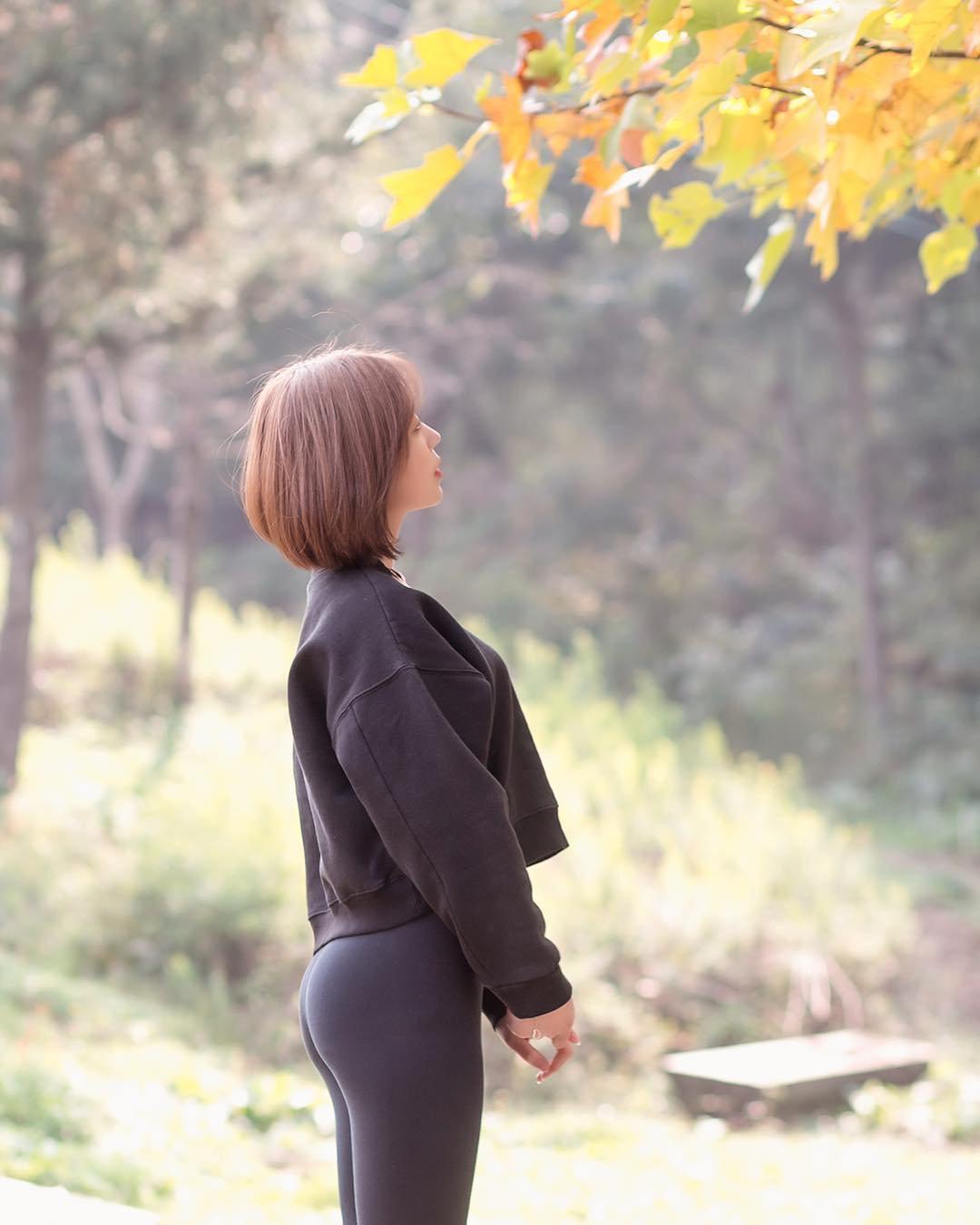 银杏叶黄了