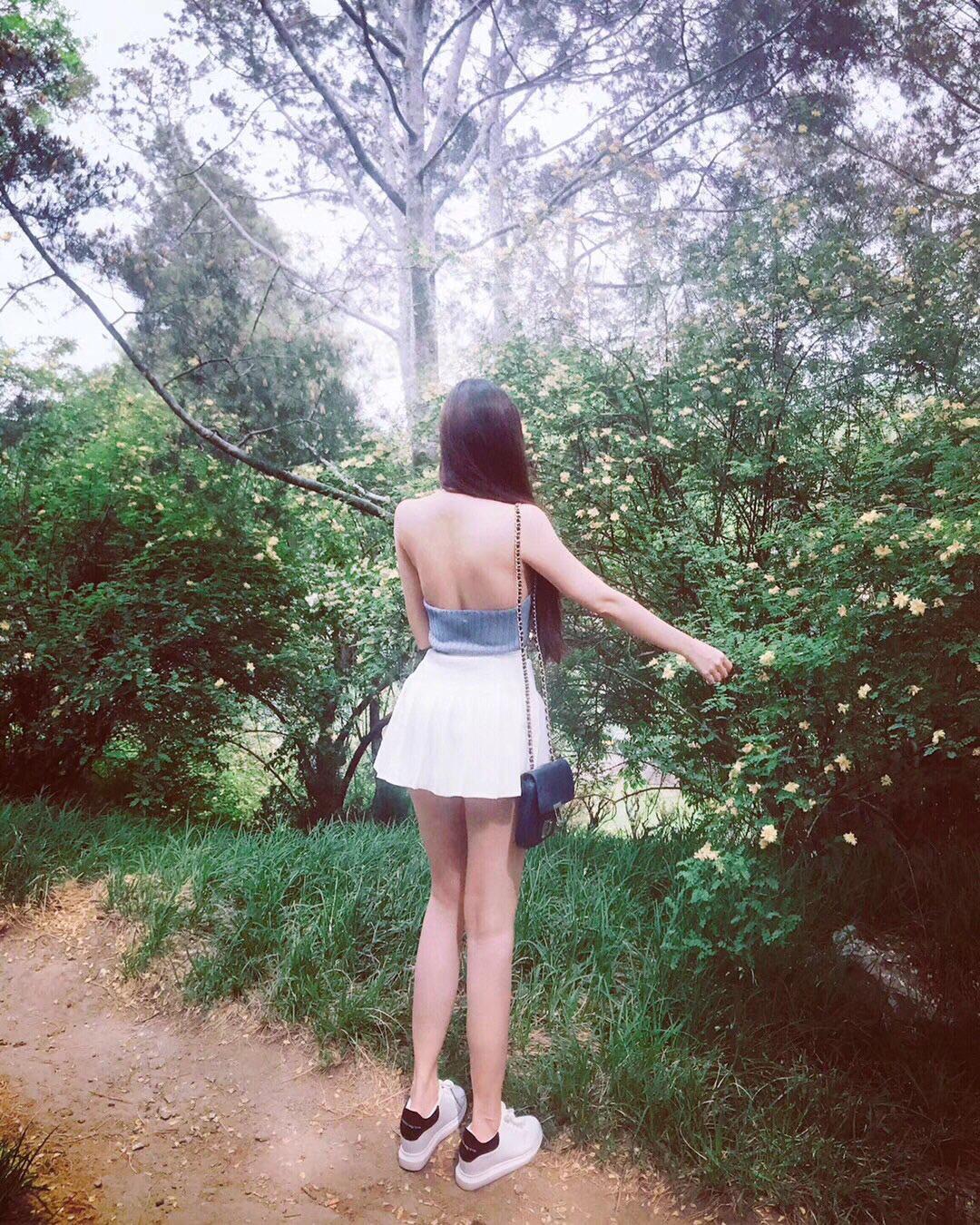 这是什么花
