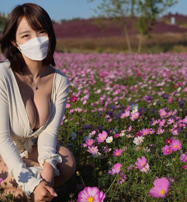 花海