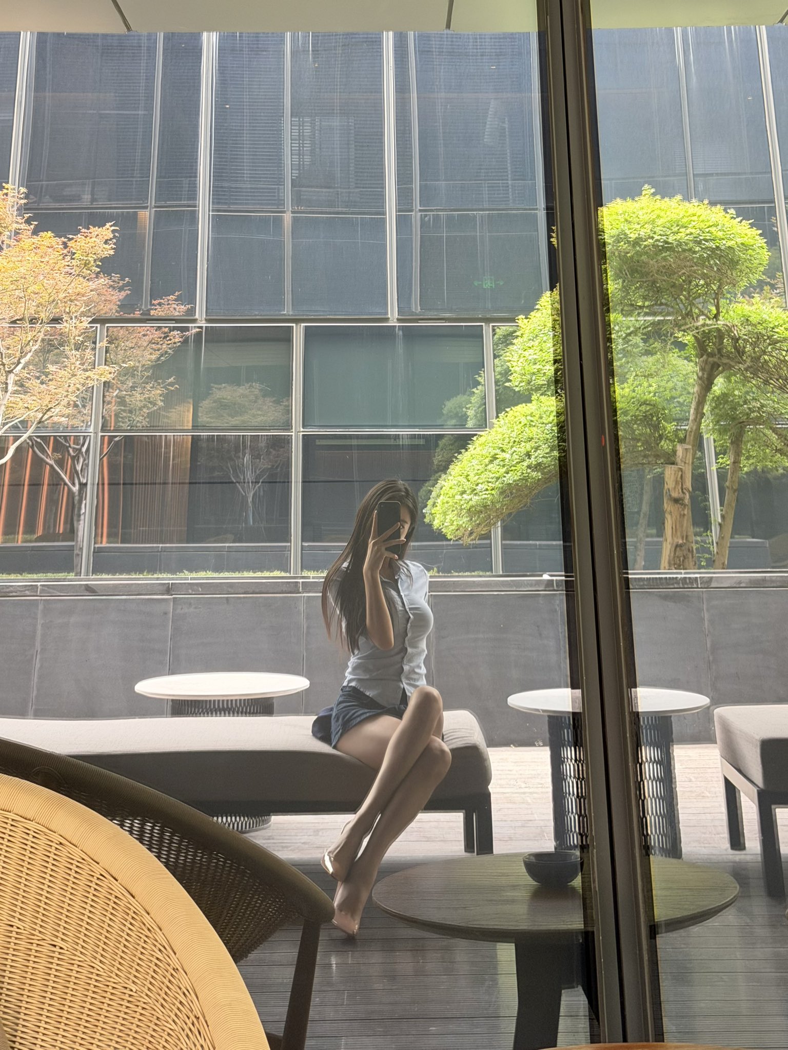 绿树